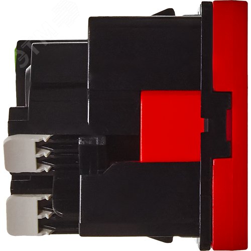 Розетка 45град с заземляющим контактом без защитной шторки и безвинтовым зажимом (2 модуля) красная