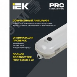 Светильник PRO аварийный промышленный пылевлагозащищенный ДСП 1422 А 40 Вт 1ч 6500К IP65 1200 мм с БАП