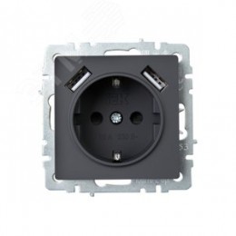 BRITE Розетка 1 пост с заземлением с защитными шторками 16А с USB A+A 5В 3,1А РЮш10-2-БрГ графит
