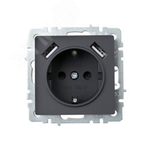 BRITE Розетка 1 пост с заземлением с защитными шторками 16А с USB A+A 5В 3,1А РЮш10-2-БрГ графит