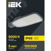 Светильник LED консольный уличный ДКУ 1004-200Ш 5000К IP65 серый
