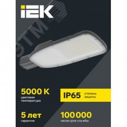 Светильник LED консольный уличный ДКУ 1004-200Ш 5000К IP65 серый