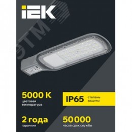 Светильник LED консольный уличный ДКУ 1012-50Ш 5000К IP65 серый