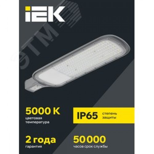 Светильник LED консольный уличный ДКУ 1012-200Ш 5000К IP65 серый