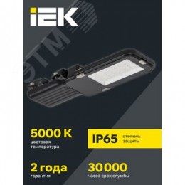 Светильник LED консольный уличный ДКУ 1013-50Д 5000К IP65