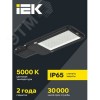 Светильник LED консольный уличный ДКУ 1013-100Д 5000К IP65