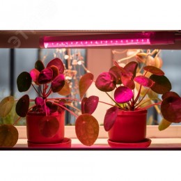 Светильник светодиодный для растений ДБЛ 01 4 Вт 313 мм LIGHTING