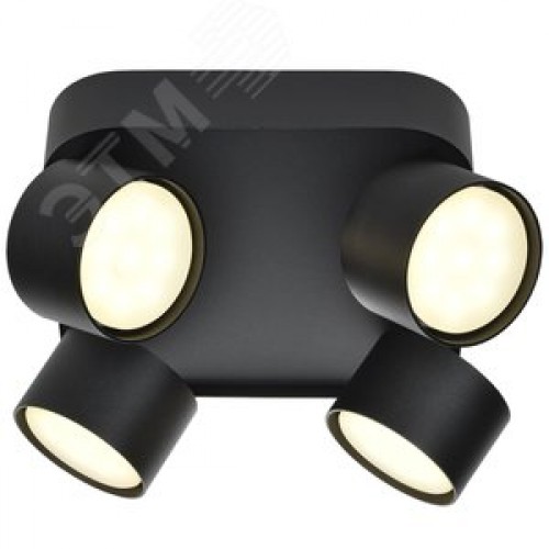 Светильник 4044 накладной потолочный под лампу 4хGX53 черный