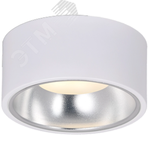 Светильник 4017 накладной потолочный под лампу GX53 белый/хром