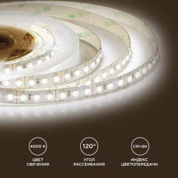 Лента светодиодная 12В 12 Вт/м IP20 4000К smd2835 120LED/м 1300 Лм/м 5м