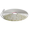 Лента светодиодная 24В 16 Вт/м IP20 4000К smd5050 120LED/м 1250 Лм/м 5м