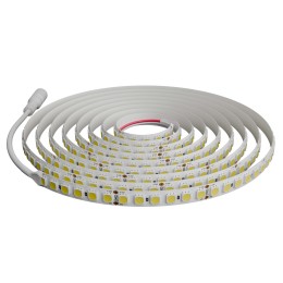 Лента светодиодная 24В 16 Вт/м IP20 6500К smd5050 120LED/м 1250 Лм/м 5м