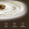 Лента светодиодная 12В 12 Вт/м IP20 4000К smd2835 120LED/м 1300 Лм/м 5м