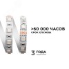 Лента светодиодная 24В 14,4 Вт/м IP20 RGB smd5050 60LED/м 5м