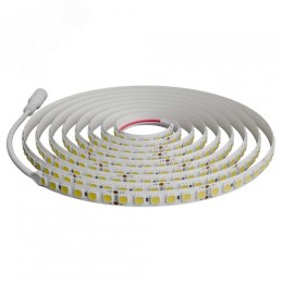 Лента светодиодная 24В 16 Вт/м IP20 4000К smd5050 120LED/м 1250 Лм/м 5м