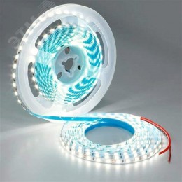 Лента светодиодная 24В 16 Вт/м IP20 4000К smd5050 120LED/м 1250 Лм/м 5м