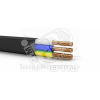 Кабель силовой ВВГ-Пнг(А)-LS 3х10ок(N.PE)-0.66    ТРТС
