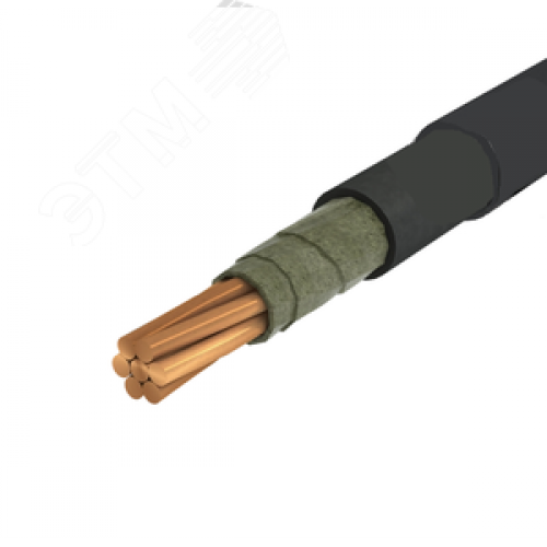 Кабель силовой ППГнг(А)-FRHF 1х95,0 мк (N) - 1 ТРТС