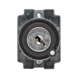 Переключатель BG21 2P с замком не возвратный NO