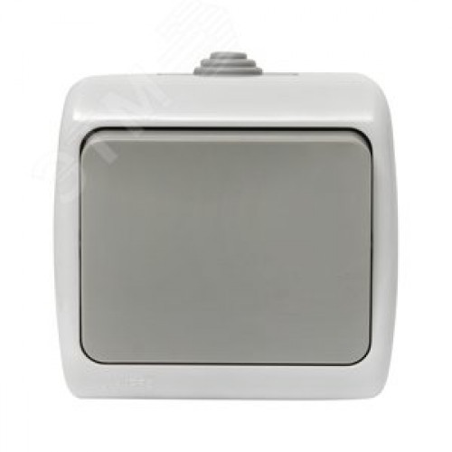 Выключатель Мурманск 1-клавишный 10А IP54 серый