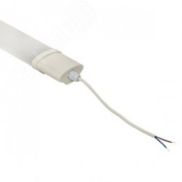 Светильник светодиодный пылевлагозащищенный ДСП-1002 18Вт 6500К IP65 600мм PROxima