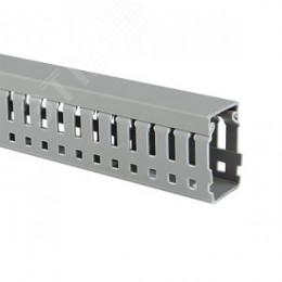 Канал кабельный перфорир. (ВхШ: 80х60мм.) PROxima