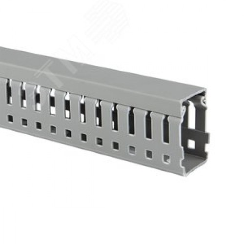 Канал кабельный перфорир. (ВхШ: 80х60мм.) PROxima