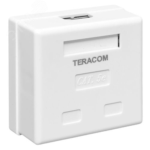 Розетка настенная TERACOM Cat.5E неэкранированная 2 порта RJ-45 Dual IDC белая