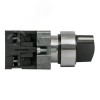 Переключатель BD33 3P короткая ручка 2NO IP65