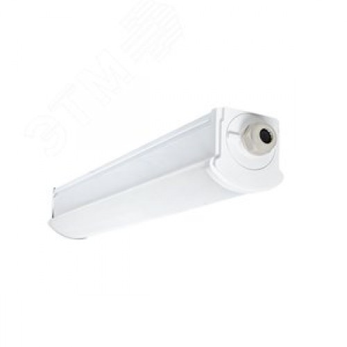 Светильник светодиодный пылевлагозащищенный ДСП-2002 18Вт 6500К IP66 600мм PROxima