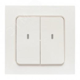 Умный выключатель Стокгольм 2-кл. EKF Сonnect