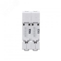 Выключатель автоматический ВА-101 2P 25А C 4.5кА