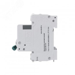 Выключатель автоматический ВА-101 2P 10А C 4.5кА