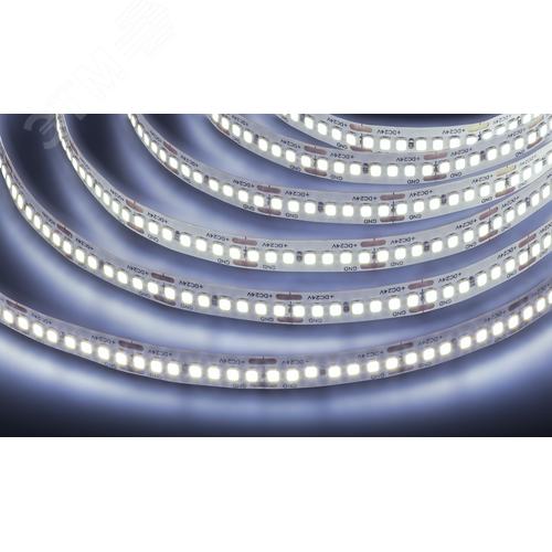 Лента светодиодная 18Вт/м 24В 6000К IP20 240LED/м NLS-2835 5м