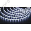 Лента светодиодная 4.8Вт/м 24В 6000К IP65 60LED/м NLS-2835 5м