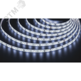 Лента светодиодная 4.8Вт/м 24В 6000К IP65 60LED/м NLS-2835 5м