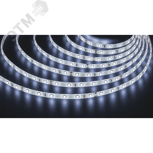 Лента светодиодная 4.8Вт/м 24В 6000К IP65 60LED/м NLS-2835 5м