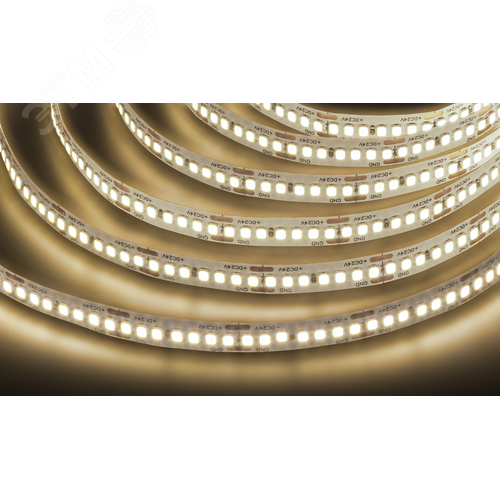 Лента светодиодная 18Вт/м 24В 3000К IP20 240LED/м NLS-2835 5м