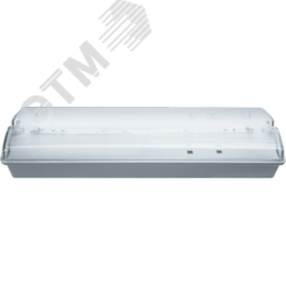 Светильник аварийный светодиодный NEF-07 3 Вт 3ч универсальный IP65 с наклейкой ВЫХОД