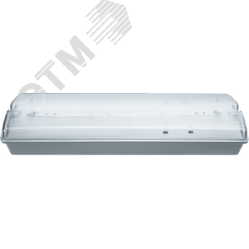 Светильник аварийный светодиодный NEF-07 3 Вт 3ч универсальный IP65 с наклейкой ВЫХОД