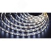 Лента светодиодная 4.8Вт/м 12В 6000К IP20 60LED/м NLS-3528-PRO 5м