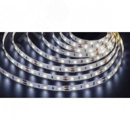 Лента светодиодная 4.8Вт/м 12В 6000К IP20 60LED/м NLS-3528 5м