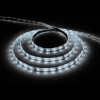Лента светодиодная 4.8Вт/м 12В 6500К IP65 60LED/м LS604