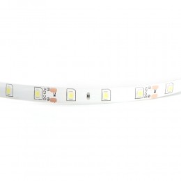 Лента светодиодная 4.8Вт/м 12В 6500К IP65 60LED/м LS604