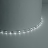 Лента светодиодная 4.8Вт/м 12В 4000К IP20 60LED/м LS603