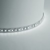 Лента светодиодная 9.6Вт/м 12В 4000К IP20 120LED/м LS612