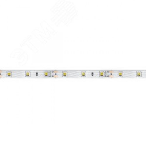 Лента светодиодная 4.8Вт/м 12В 6500К IP20 60LED/м LS603