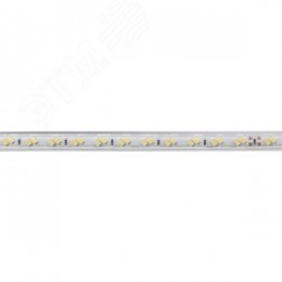 Лента светодиодная 11Вт/м 220В 6500К IP65 120LED/м LS705