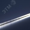 Лента светодиодная 11Вт/м 24В 6000К IP20 120LED/м LS501