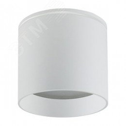 Светильник ДПО-12w GX53 без лампы IP44 белый